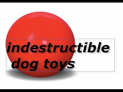 dog toys uk