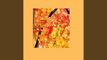 Sumptuous Backdrops for New Year New Projects