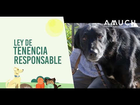 Ley de Tenencia Responsable de Mascotas (21.020)