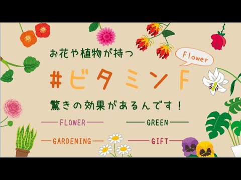 お花や植物が持つ ビタミンf 驚きの効果 Youtube