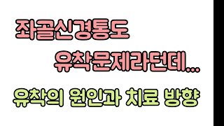 좌골신경통도 유착때문이라는데.. 신경 유착이 생기는 이유. 신경외과 전문의 남준록 원장.