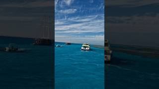 Red Sea #redsea #sea #vlog