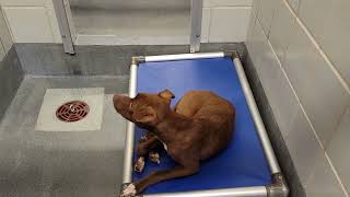 acs A662808 News