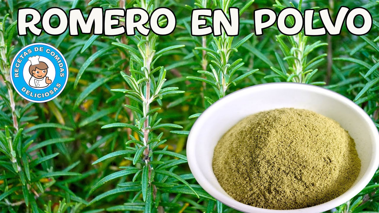 Como hacer polvo de romero de buena calidad.