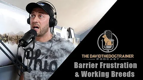 Barrier Frustration And Working Dogs (How To Manage)