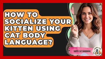 How To Socialize Your Kitten Using Cat Body Language? - Happy Cat Handbook