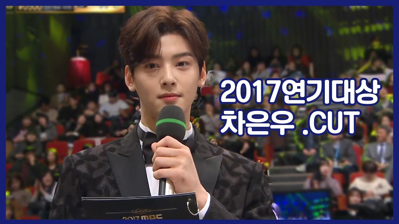 [아스트로/차은우] 17연기대상 MC 차은우.CUT
