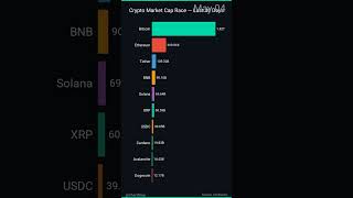 Bitcoin Crashed 8%: Rachel Lost Her $8,300 Down Payment | May 17