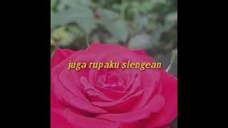 Story wa slank mawar merah