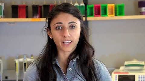 Lab 2/2A Overview: Preparing to Clone a Gene