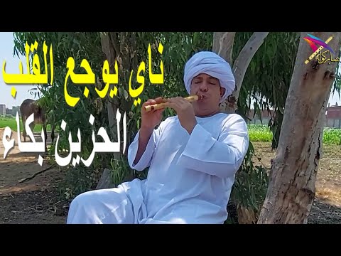 الابداع الفني في ريف مصر الجميله عزف حزين جدا جدا صابر كولة صابر كوله Saber Kawla