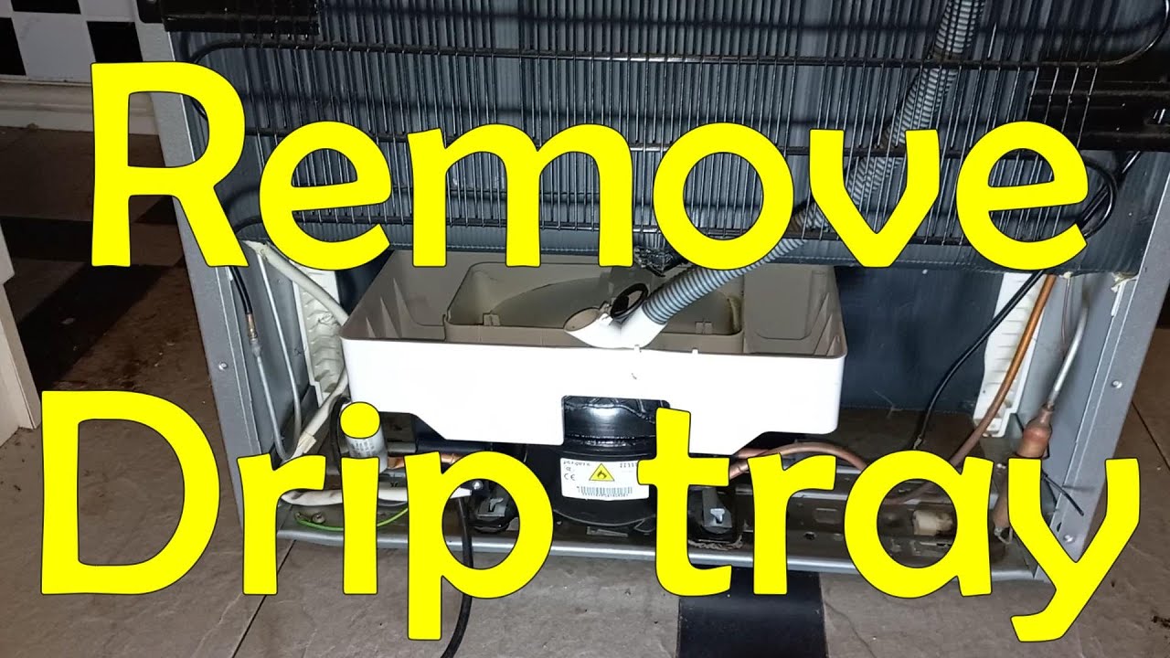 How to Remove drip tray to reach fridge condenser 