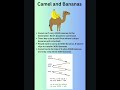 15.2 Camel and Bananas #puzzles #riddle #softwareengineer #camel #banana #interview #manager #cse
