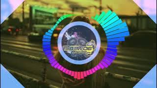 Dj lily alan walker full pargoy by BREWOG AUDIO