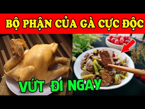 #1 Thèn Nhỏ Dãi Cũng CẤM ĂN Bộ Phận Này Của GÀ, CỰC ĐỘC CỰC BẨN, Vứt Đi Ngay càng ăn càng SINH BỆNH Mới Nhất