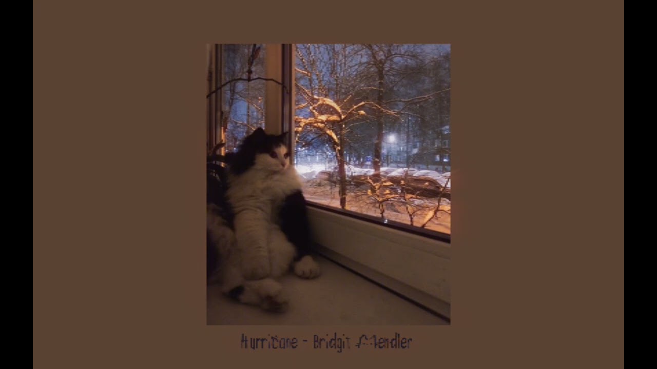 ᓚᘏᗢ Hurricane ᓚᘏᗢ | Bridgit Mendler 《 Super Slowed 》