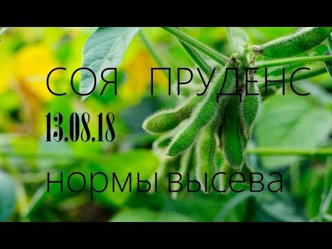 13.08.18 Соя, нормы