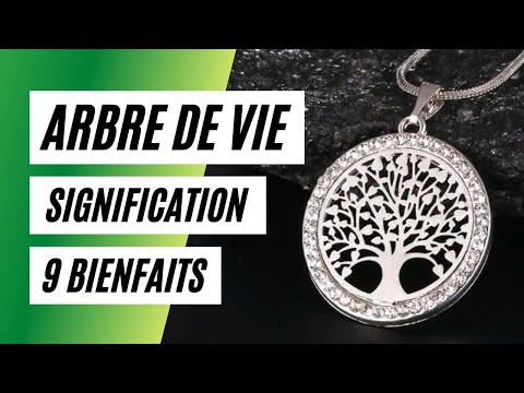 Vidéo: Pourquoi l'arbre est-il un symbole de vie ?