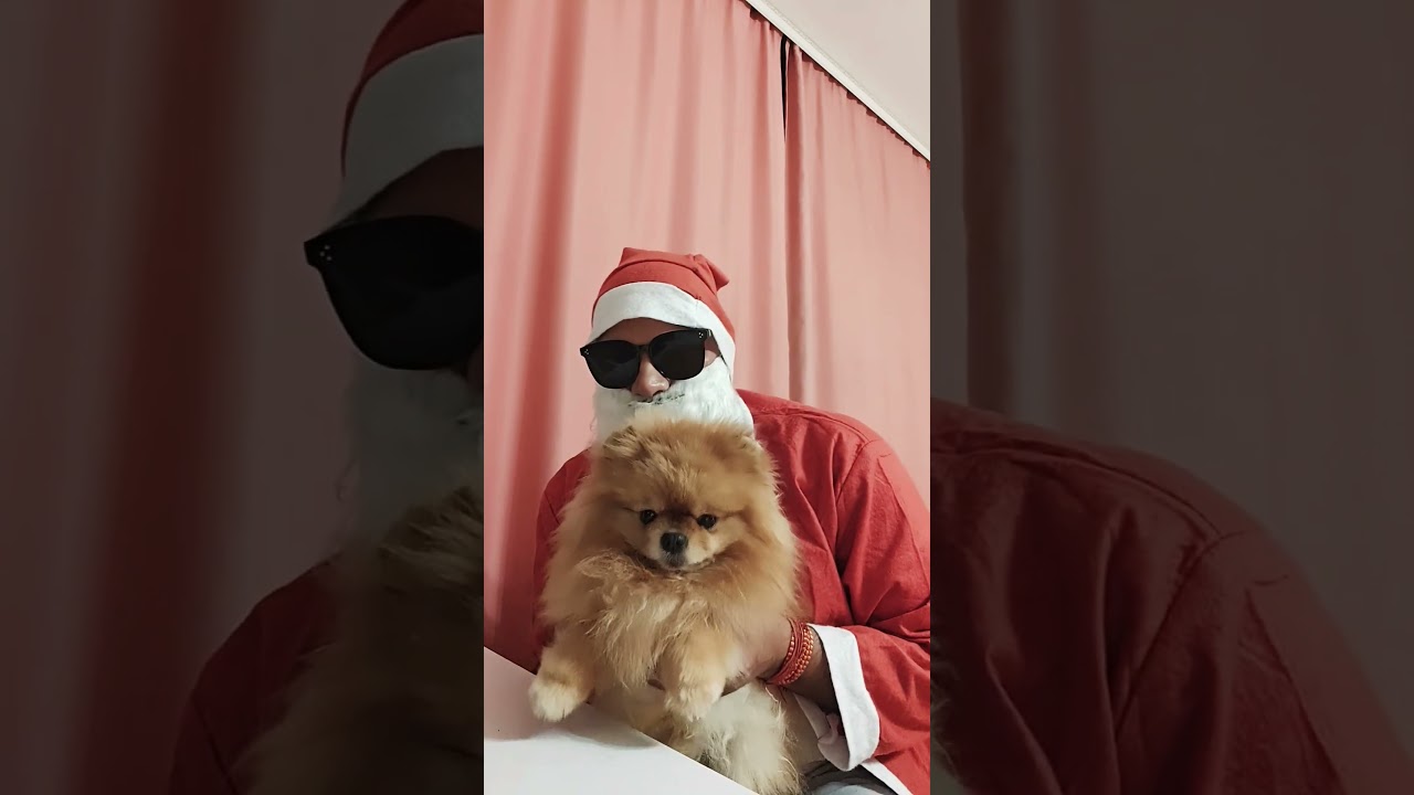 Santa dance with pet 