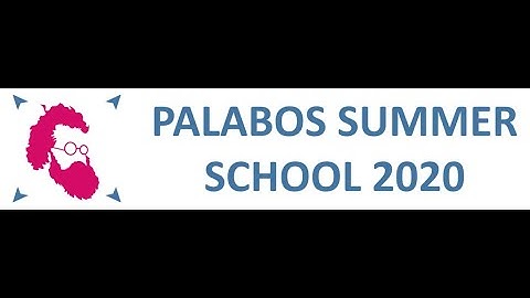 Boundary conditions for complex geometries - Palabos Summer School 2020