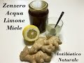 Tisana zenzero limone e miele ottimo infuso disintossicarsi  ottimo antibiotico naturale