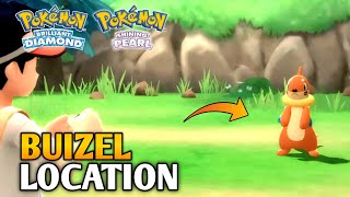 How To Catch Buizel In Pokemon Brilliant Diamond & Shining Pearl Buizel Location