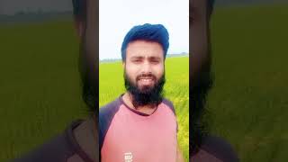 ফেসবুকে সফলতা পেতে হলে সময় শ্রম দিতে হয় | Rashed Tech Bd