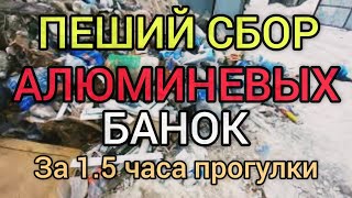 АЛЮМИНЕВЫЕ БАНКИ НА РАЙОНЧИКЕ ЗА 1,5 ЧАСА ПРОГУЛКИ