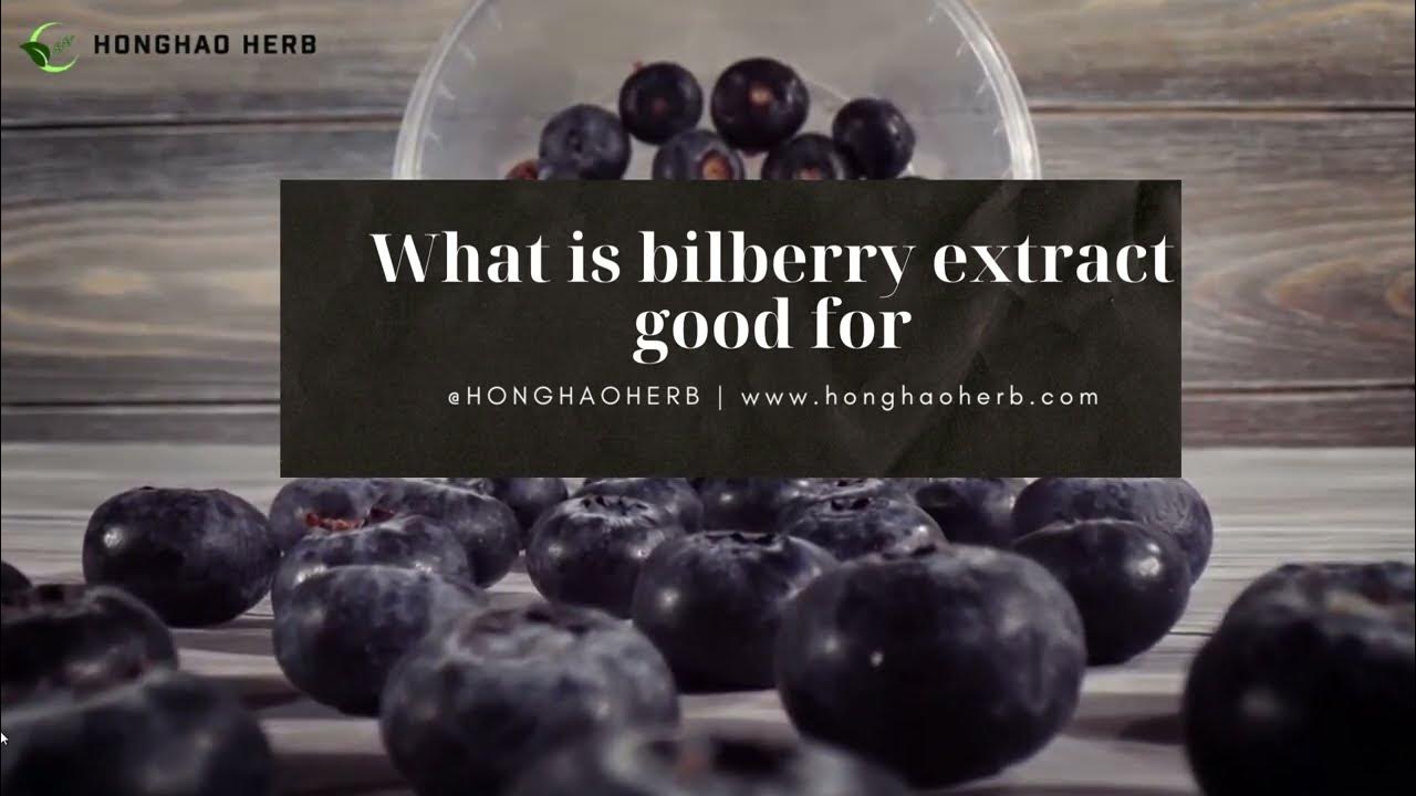 What is bilberry extract good for.bilberry extract benefits.bilberry