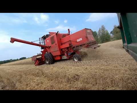 ✔ŻNIWA 2022✔BIZON Z056✔PSZENICA✔😎CZYTAJ