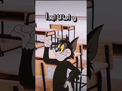 القط بوتش