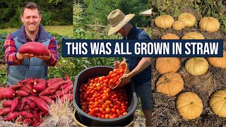 How To Grow Veggies In Straw Part 1 Conditioning Your Bales