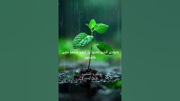 سورة العنكبوت الآية ( ٥٦-٥٧ )
