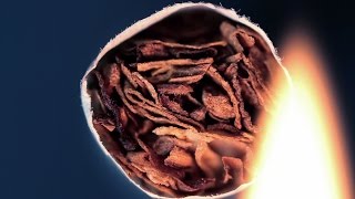 What's in Cigarette Smoke? | City of Hope