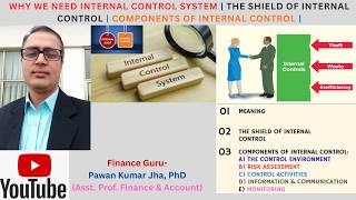 Why Do We Need Internal Control System? | Shield of Internal Control | Operational and Audit Model |