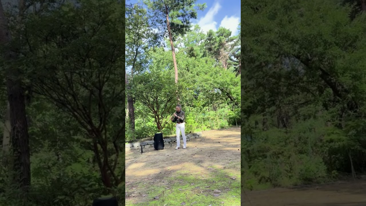 Air on the G string, Bach. cover with Hauser's Cello 