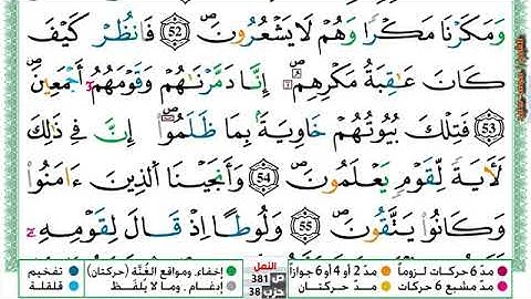 (مكررة) حفظ سورة النمل (11) للقارئ الشيخ محمد سايد