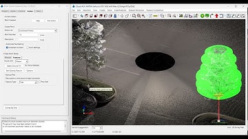 Carlson Point Cloud – Tree Extraction