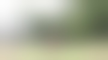 Zenith/HK Z5K FULL AUTO