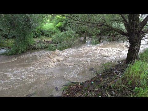 Video: Garažni zaboj: značilnosti konstrukcije, prednosti in slabosti