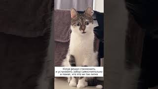 Сэкономить и установить забор самостоятельно - сомнительная затея