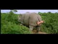 Ace ventura en afrique  rhinocros jim carrey