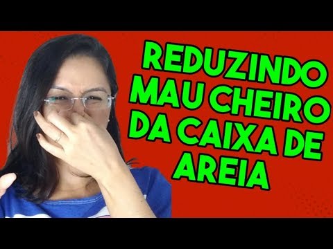 Vídeo: Mantendo O Odor Afastado Com Uma Caixa De Areia Limpa