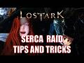 [Lost Ark] Stop Wiping in Serca! Advanced Tips and Tricks
