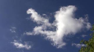 Realtime Cumulus forming HD Stock Footage V07313