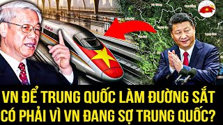 VIỆT NAM Lại Để TRUNG QUỐC Làm Đường Sắt Cao Tốc Có Phải Vì ĐANG SỢ | VIỆT TV