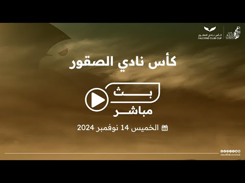 اليوم الثاني لمنافسات كأس نادي الصقور 2024 نادي الصقور السعودي