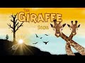 Giraffe Facts Quiz