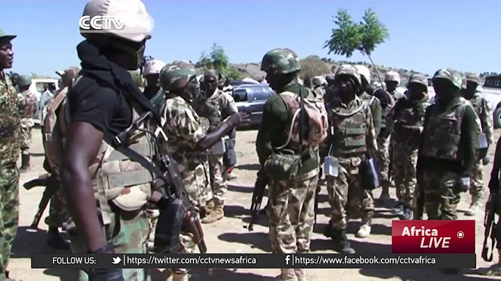 Nigeria military  on track to defeating Boko Haram