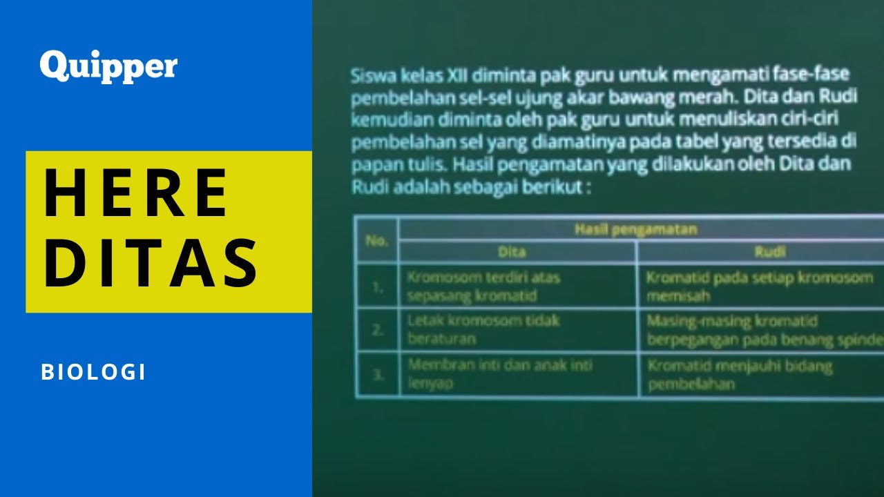 Mengapa pembelahan meiosis sangat berpengaruh dalam pertumbuhan dan perkembangan organisme